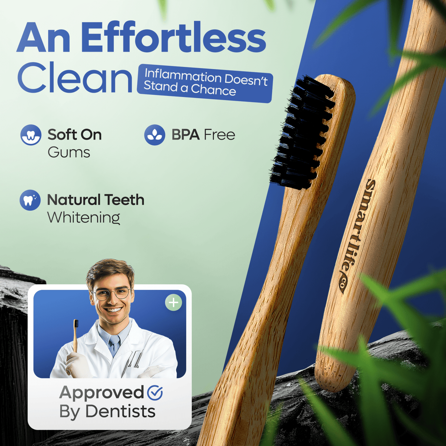 bamboo toothbrush all natural biodegradable