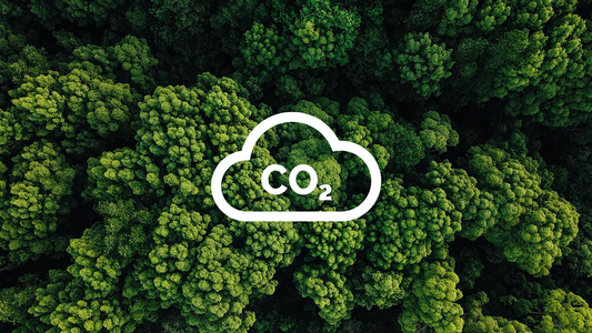 Carbon Netural, Explained