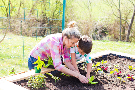 A family planting vegetables together in their backyard in a raised garden bed. 