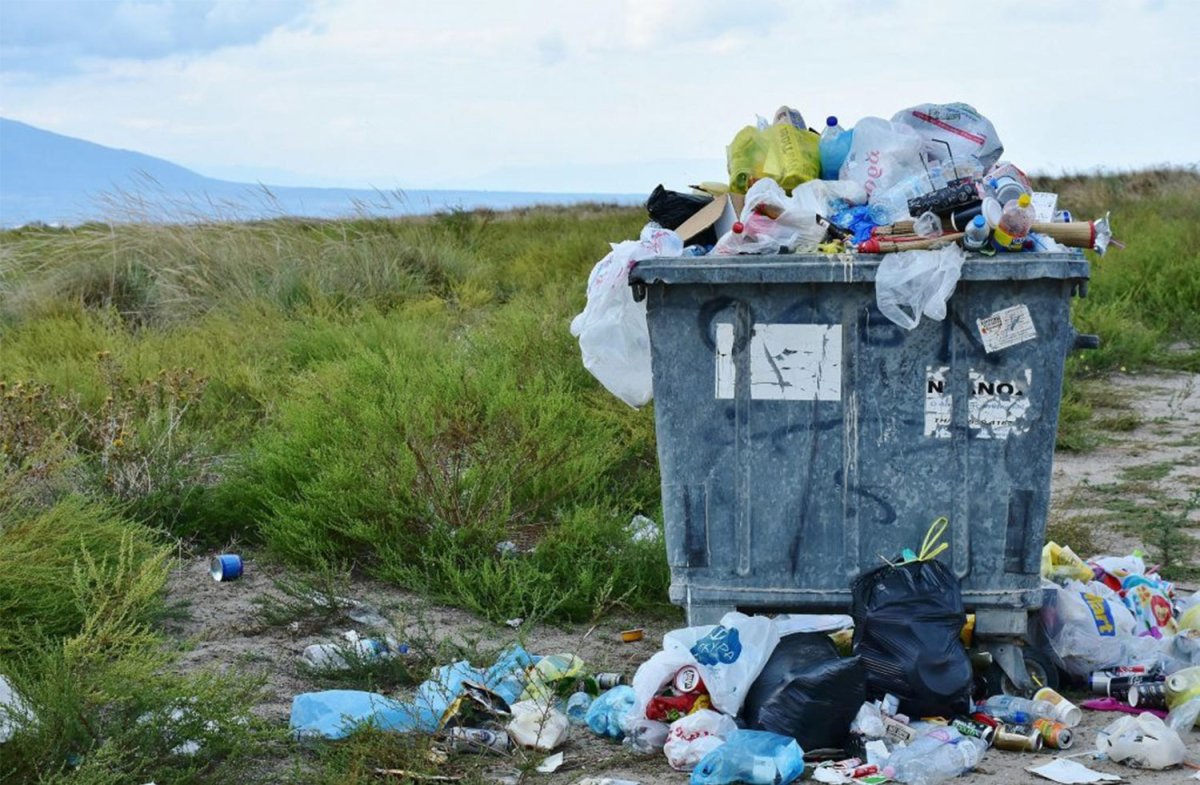 Effects Of Plastic Pollution On The Environment - SmartLifEco