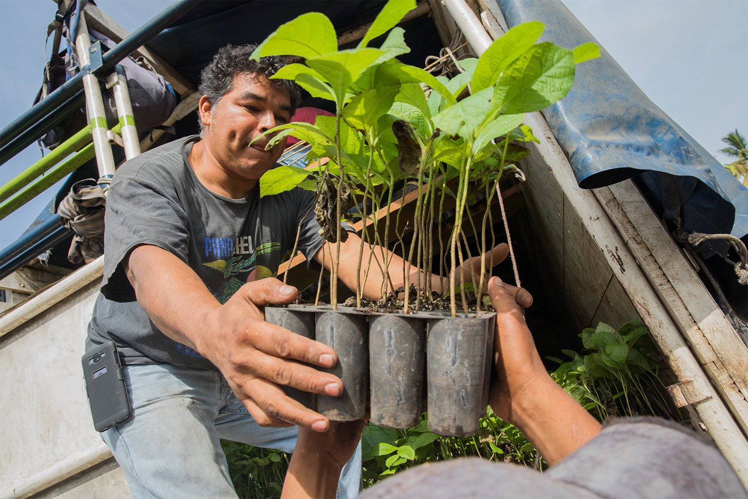 Plant_Trees-OPT.jpg