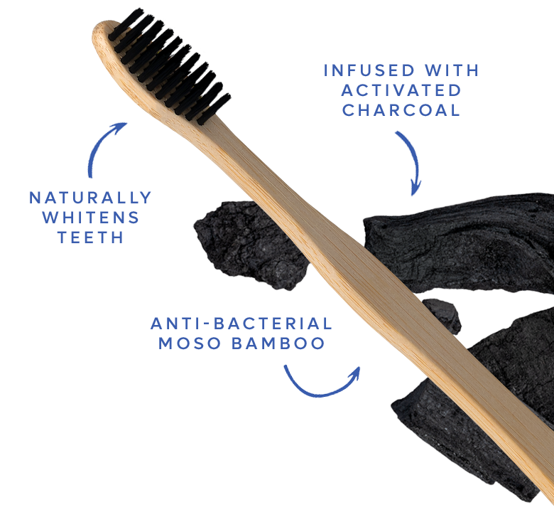 Bamboo Toothbrushes | Sustainable & Compostable Oral Care – SmartLifeco